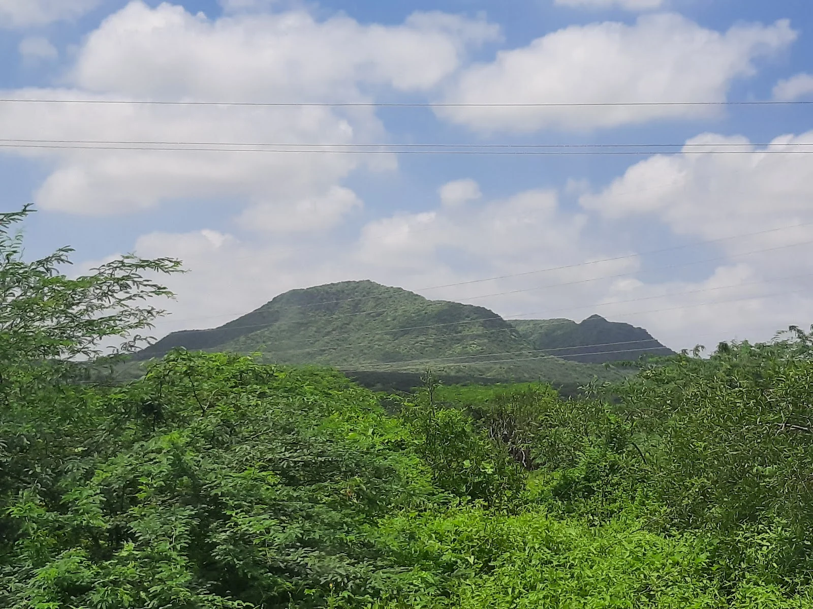 Overview