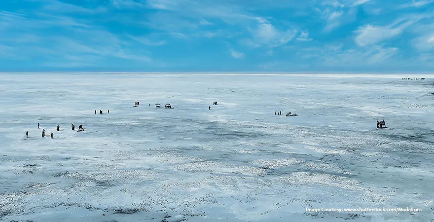 Gateway to the salt